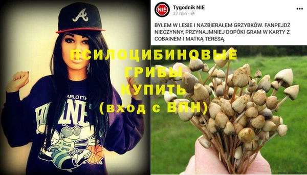 мдпв Богородск