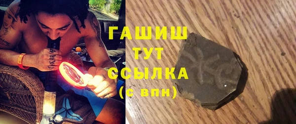 мдпв Богородск