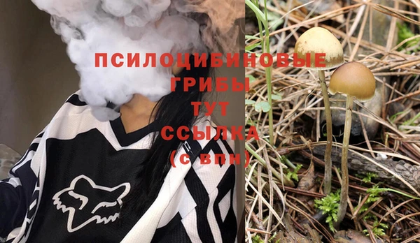 mdma Бородино